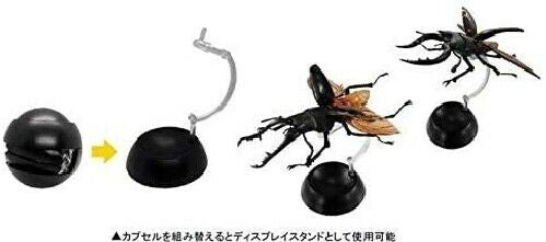 BANDAI Stag All 2 (type) set Gashapon toys Miniature Figure NEW from Japan_3