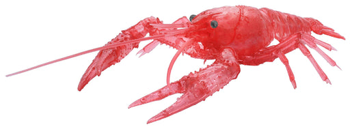 FUJIMI Free Research Series No.24 EX-4 Creature Edition American Crayfish Kit_1