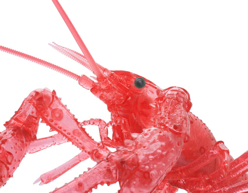 FUJIMI Free Research Series No.24 EX-4 Creature Edition American Crayfish Kit_2