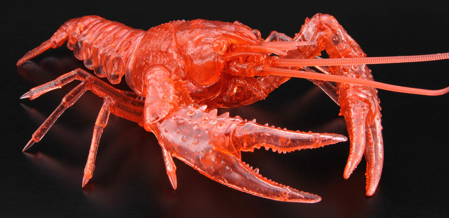 FUJIMI Free Research Series No.24 EX-4 Creature Edition American Crayfish Kit_4