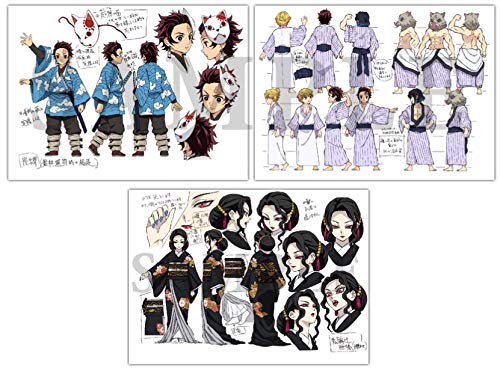 Demon Slayer Kamado Tanjiro Risshi-hen Material Book Set of 3 [No Post Card] NEW_3