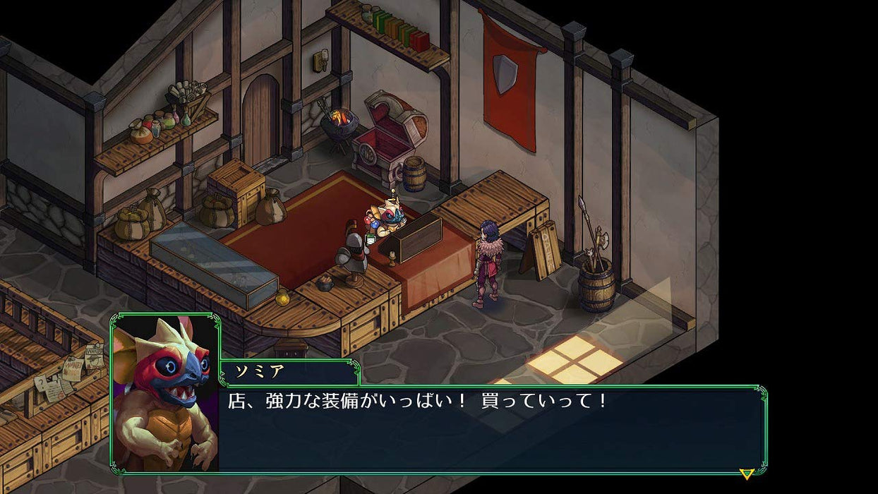 PS4 Game Software Fell Seal Arbiter's Mark Standard Edition PLJM-16778 RPG NEW_5