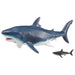Takara Tomy ANIA Megalodon Floating Action Figure Real Design Animal Figure NEW_1