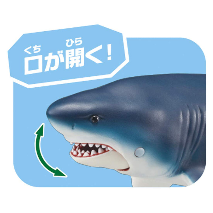 Takara Tomy ANIA Megalodon Floating Action Figure Real Design Animal Figure NEW_2