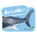 Takara Tomy ANIA Megalodon Floating Action Figure Real Design Animal Figure NEW_3