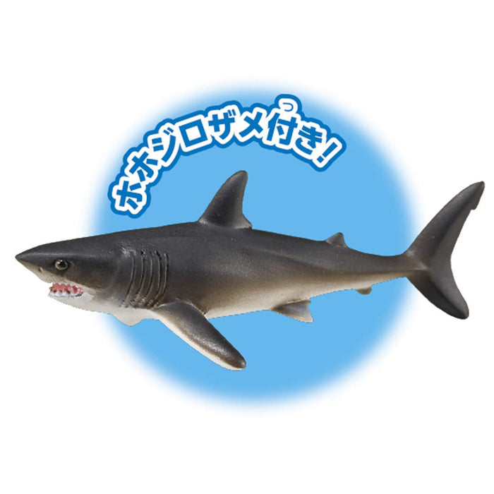 Takara Tomy ANIA Megalodon Floating Action Figure Real Design Animal Figure NEW_4