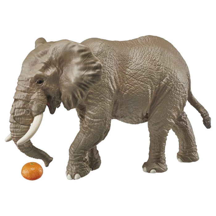 Takara Tomy Ania AS-02 African Elephant (with Orange) Animal Dinosaur Realistic_1