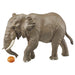 Takara Tomy Ania AS-02 African Elephant (with Orange) Animal Dinosaur Realistic_1