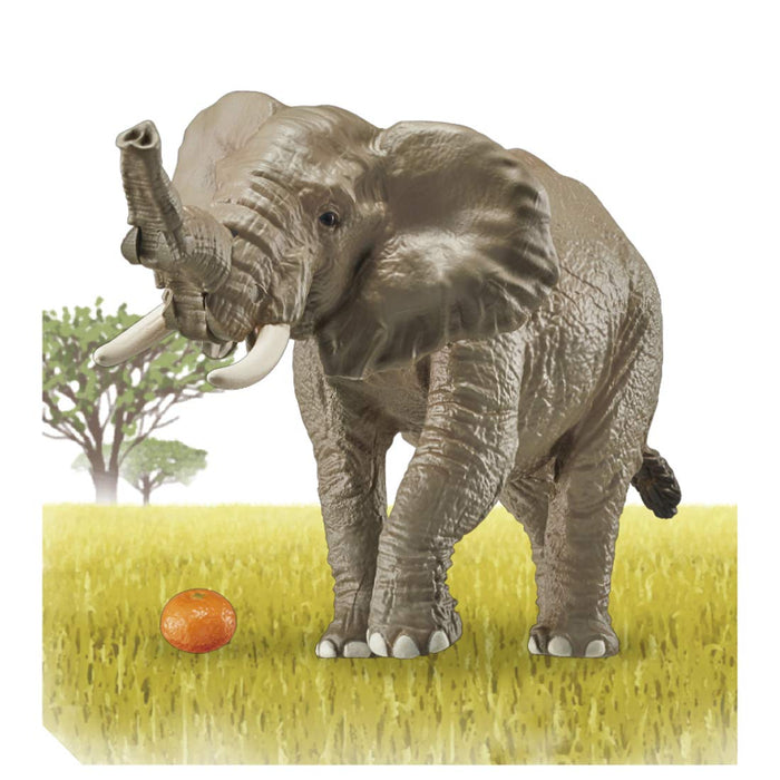 Takara Tomy Ania AS-02 African Elephant (with Orange) Animal Dinosaur Realistic_3