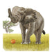Takara Tomy Ania AS-02 African Elephant (with Orange) Animal Dinosaur Realistic_3
