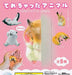 TAMA-KYU animal got shy all 5set mascot capsule Figures Complete NEW from Japan_1