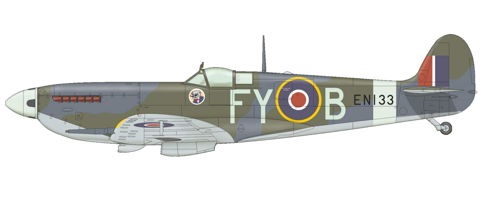 Eduard 1/48 Bunny Fighter Club Royal Air Force Spitfire F.Mk.9 Kit EDUBFC092 NEW_5