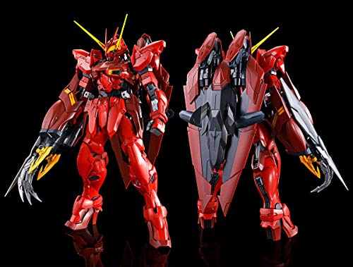 Bandai MG 1/100 RGX-00 Testament Gundam Plastic Model kit NEW from Japan_1