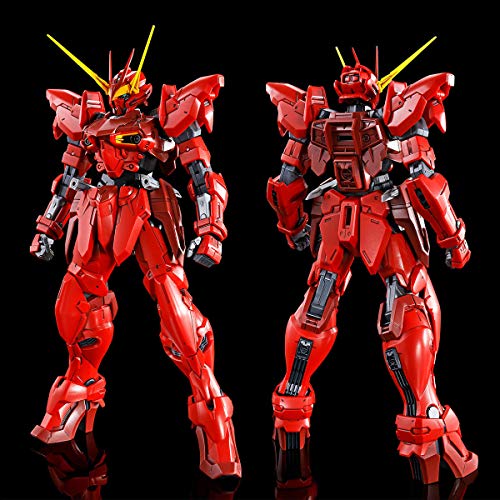 Bandai MG 1/100 RGX-00 Testament Gundam Plastic Model kit NEW from Japan_2