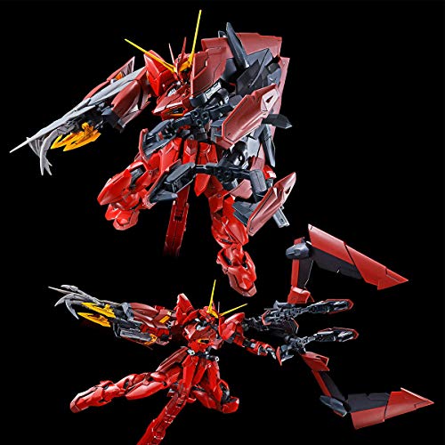 Bandai MG 1/100 RGX-00 Testament Gundam Plastic Model kit NEW from Japan_4