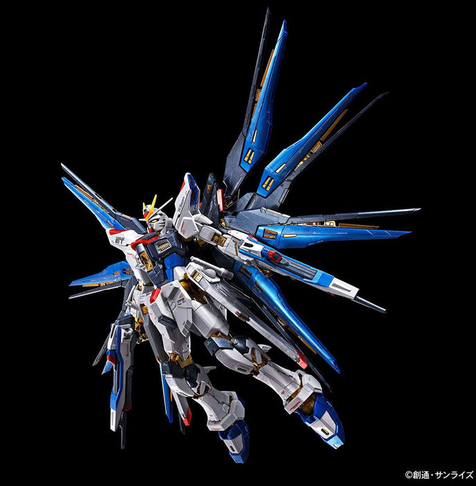 RG 1/144 Strike Freedom Gundam [Titanium Finish] Plastic model Limited Edition_3