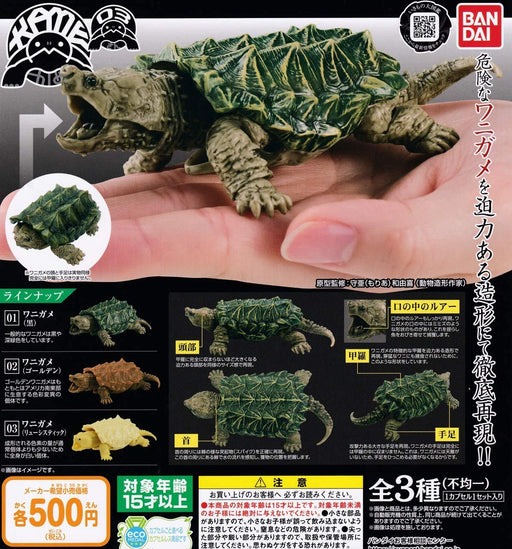 Bandai Turtle 03 Miniature figure Gashapon All 3 types set capsule toy NEW_1