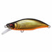 Megabass GH51 HUMPBACK(FS) Crankbait M Kinkuro 5.1 g NEW from Japan_1