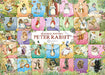 EPOCH Peter Rabbit Jigsaw Puzzle 2000 Pieces Super Small 38x53cm ‎54-713 NEW_1
