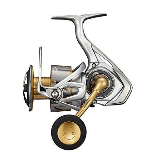 DAIWA Spinning Reel 21 FREAMS LT6000D-H Light game compatible model NEW_1