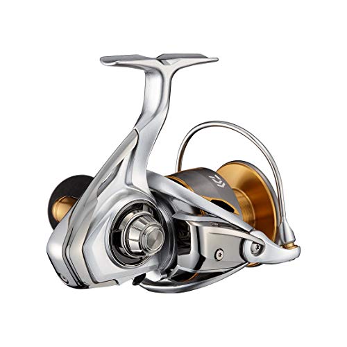 DAIWA Spinning Reel 21 FREAMS LT6000D-H Light game compatible model NEW_2