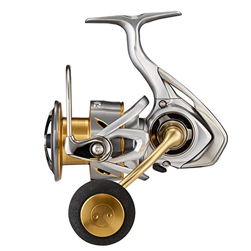 DAIWA Spinning Reel 21 FREAMS LT5000-CXH (2021 Model) NEW from Japan_1