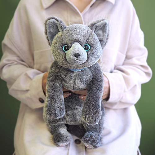 Hizaneko M Russian Blue Plush Doll Stuffed toy Knee Cat 2021 47cm NEW from Japan_7