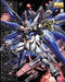 RG Mobile Suit Gundam Seed Destiny Zgmf-X20A Strike Freedom Gundam 1/144 Scale_3