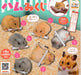 KORO KORO hamster fortune hammikuji Set of 6 Full Complete Gashapon toys NEW_1