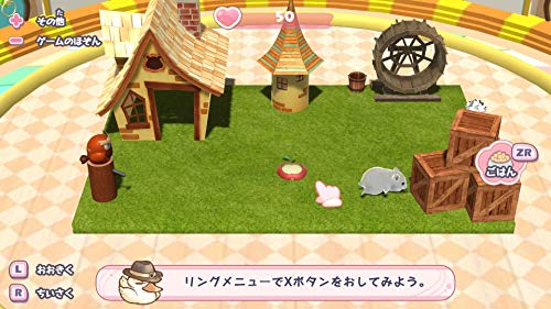 Nintendo Switch Software Djungarian Story Bonus Motto Mofumofu Set SUC-NS001 NEW_3