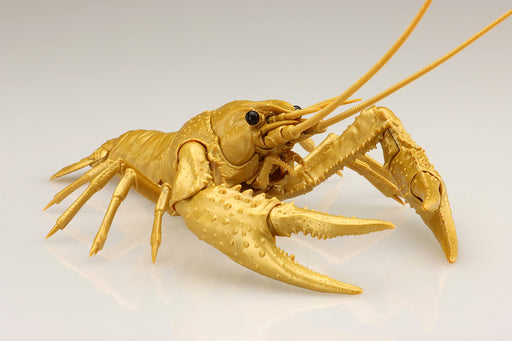 Fujimi Jiyukenkyu series No.24 EX-5 Ikimono Hen american crayfish Gold Kit NEW_2