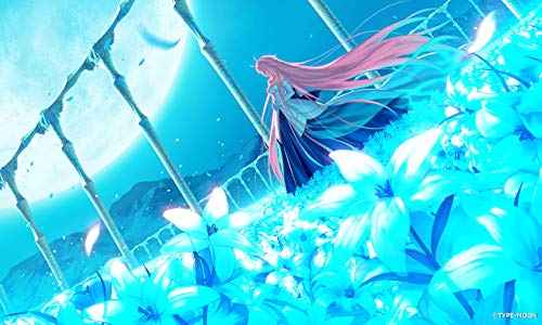 PS4 Game Software Tsukihime: A Piece of Blue Glass Moon PLJM-16864 CERO Z (18+)_2