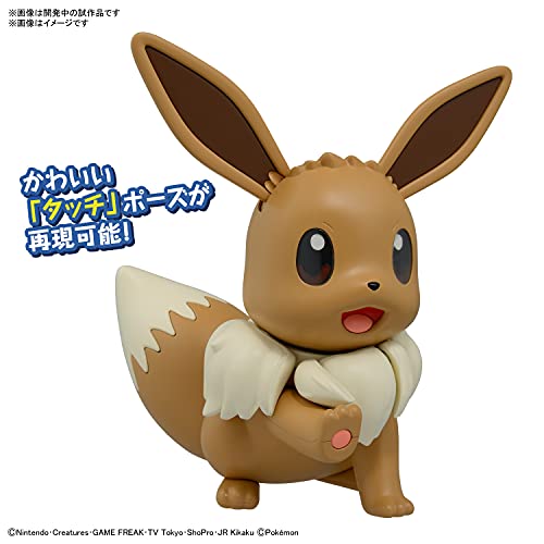 Pokemon Plastic Model Collection Big 02 Eevee (Plastic model) colored NEW_4