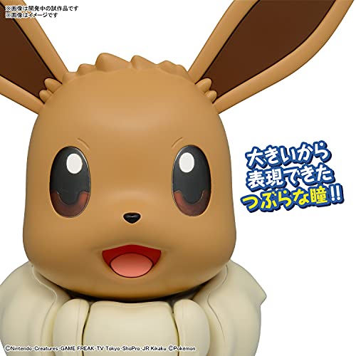Pokemon Plastic Model Collection Big 02 Eevee (Plastic model) colored NEW_5