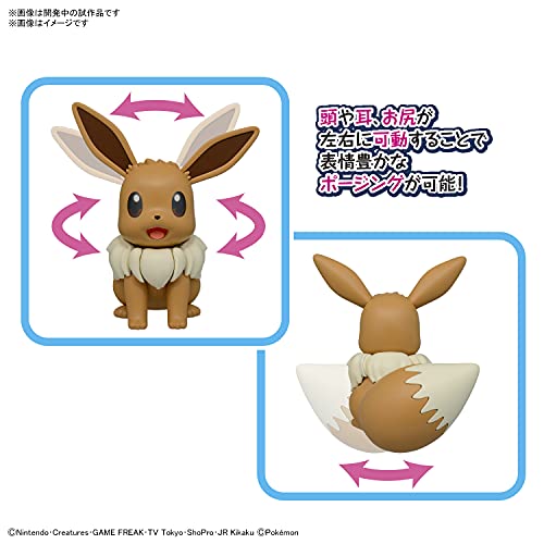 Pokemon Plastic Model Collection Big 02 Eevee (Plastic model) colored NEW_6