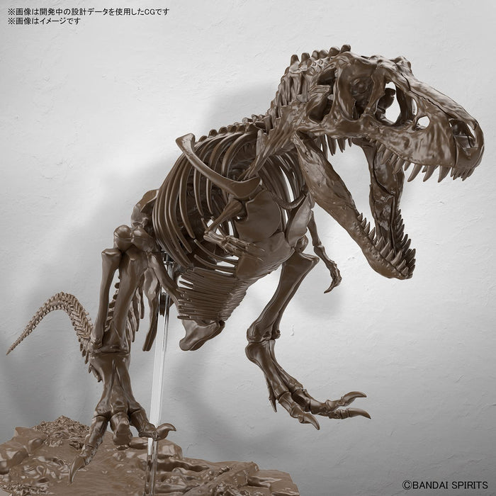 Bandai Spirits Imaginary Skeleton Tyrannosaurus 1/32 Scale Plastic Model 2569327_4