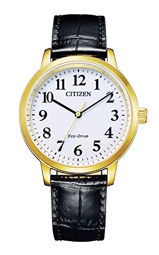 CITIZEN Collection BJ6543-10A Eco-Drive Solar Men's Watch Leather Band NEW_1