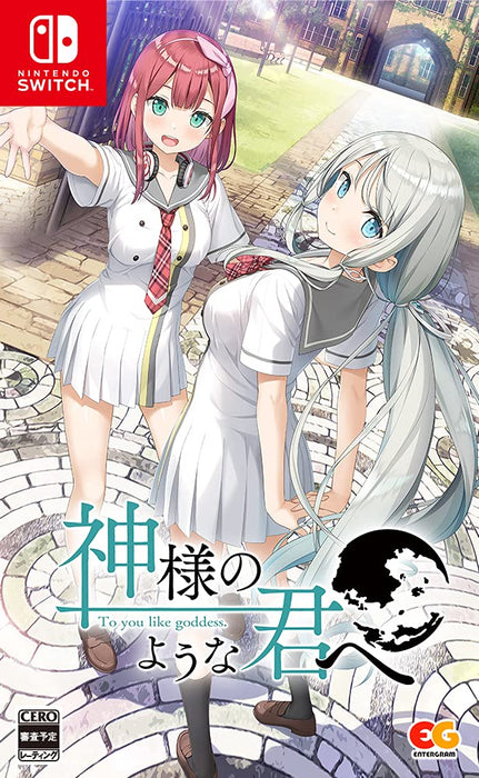 ENTERGRAM Nintendo Switch Kami-sama no you na Kimi e JapaneseEdition HAC-P-A4GHA_1