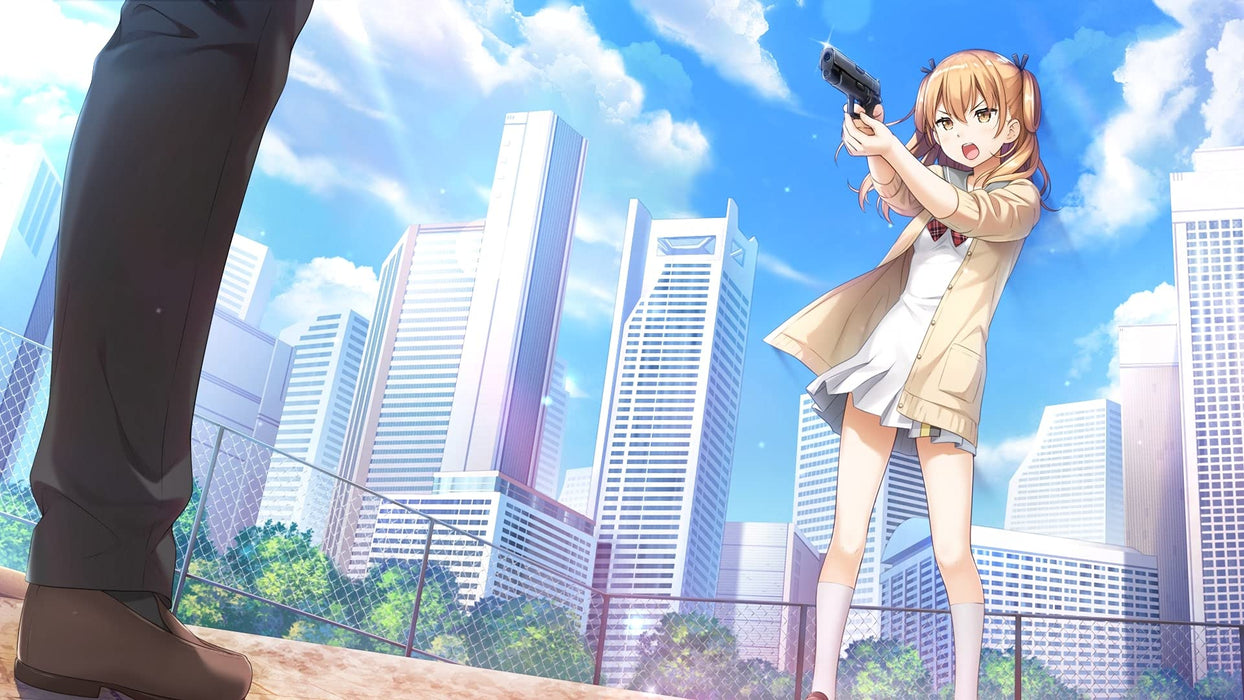 ENTERGRAM Nintendo Switch Kami-sama no you na Kimi e JapaneseEdition HAC-P-A4GHA_4