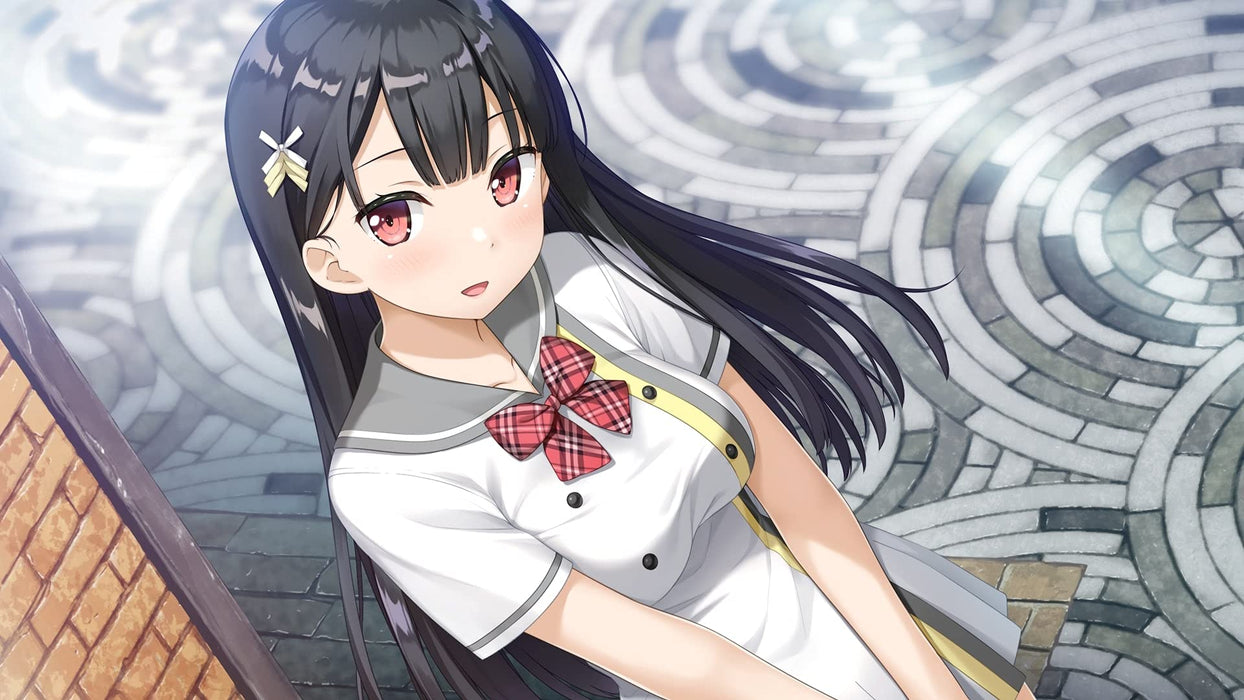 ENTERGRAM Nintendo Switch Kami-sama no you na Kimi e JapaneseEdition HAC-P-A4GHA_5