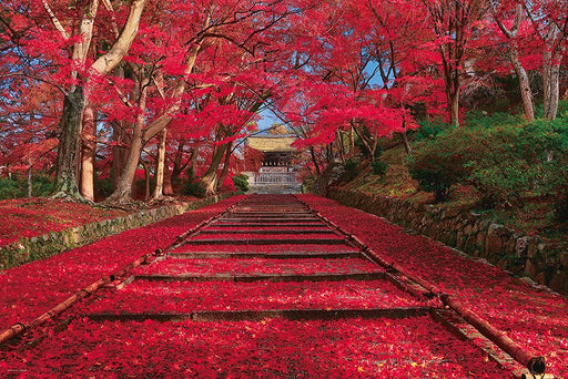 Autumn leaves Approach Kyoto 1000 Piece Jigsaw Puzzle Yanoman ‎‎‎‎‎‎‎10-1400 NEW_1