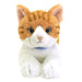 Knee Cat M Red tabby and white Plush Doll Stuffed Toy Animal SUN LEMON 47cm NEW_2