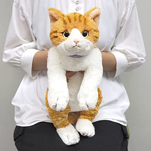 Knee Cat M Red tabby and white Plush Doll Stuffed Toy Animal SUN LEMON 47cm NEW_5