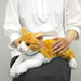 Knee Cat M Red tabby and white Plush Doll Stuffed Toy Animal SUN LEMON 47cm NEW_6