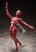 figma SP-142 Human Anatomical Model non-scale ABS&PVC Figure F51042 NEW_6