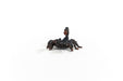 Schleich Wildlife Giant Scorpion 14857 PVC ‎World's largest scorpion Black NEW_7