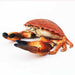 Taiyo Industrial Trade Wild Graffiti SA044 Plush Doll Ginkgo Crab Polyester NEW_2