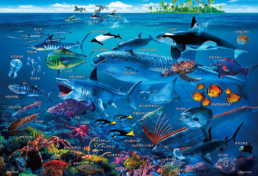 Beverly 100-Piece Jigsaw Puzzle Learn Sea Creatures! 100-029 Made in Japan NEW_2