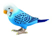 TAKARA TOMY Everyday Talking Genius Parakeet Blue 1100 sentences, 10 songs NEW_1