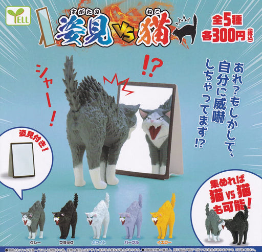 Yell Full-Length Mirror vs Cats Set of 5 Full Complete Set Gashapon toys NEW_1